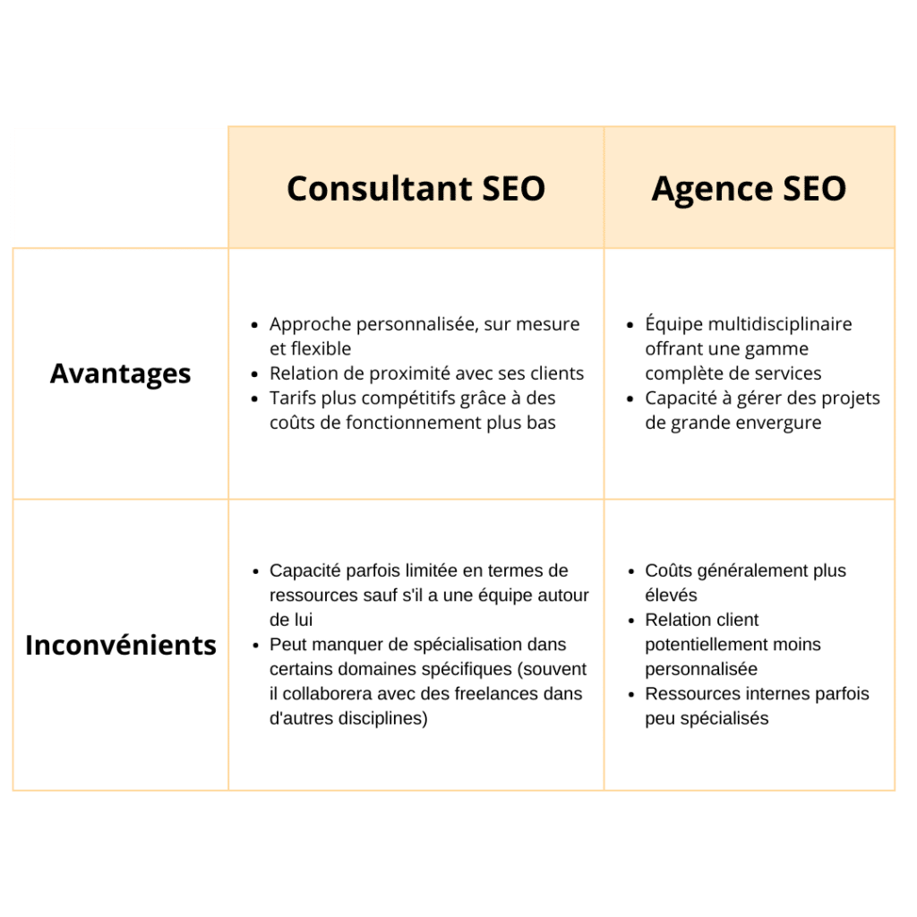 Comparaison entre consultant seo et agence seo